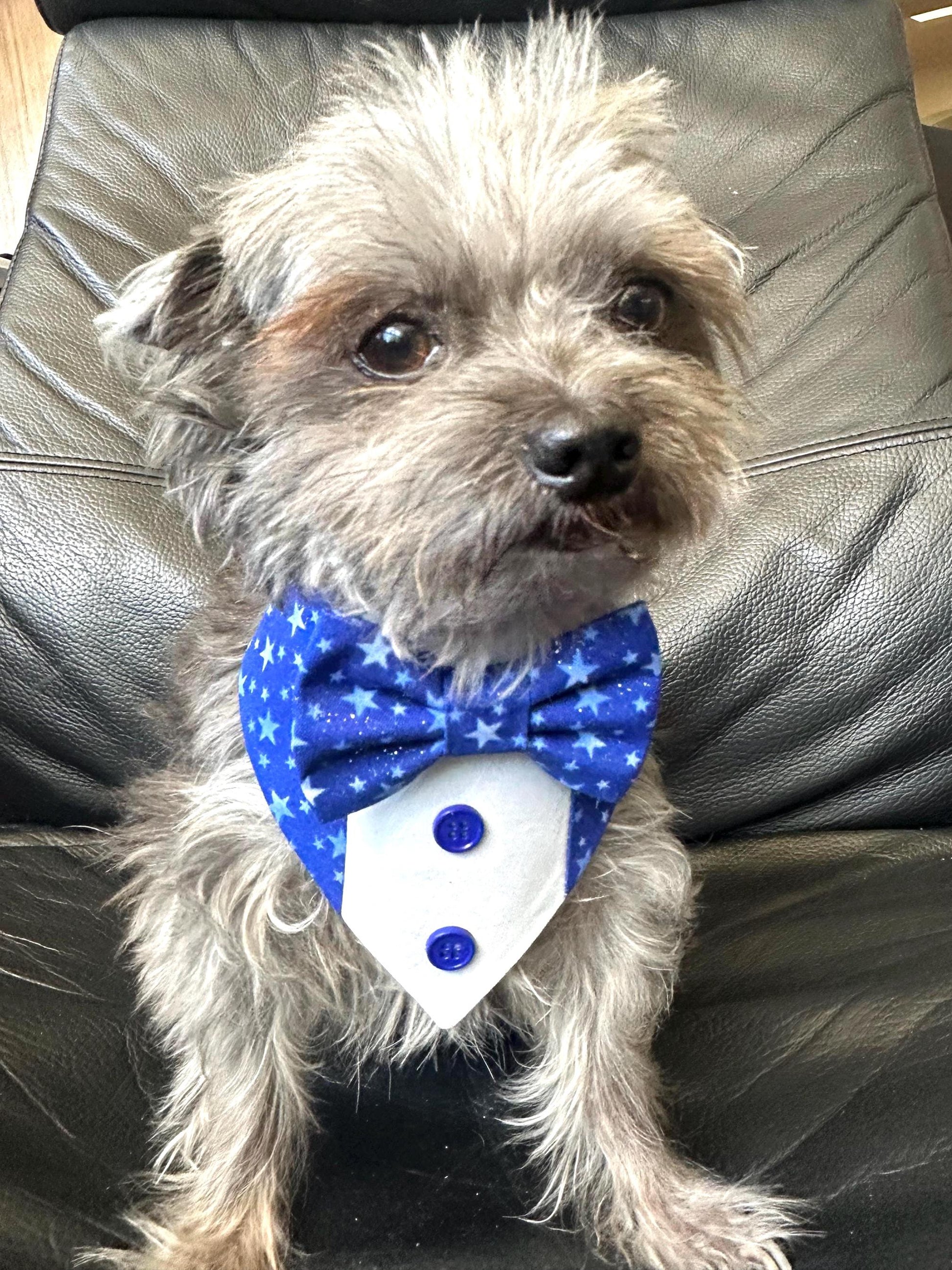 4th of July dog bandana Tuxedo dog scarf summer pet bandana snaps on bandana blue white star pet accessory for memorial day dog gift cat