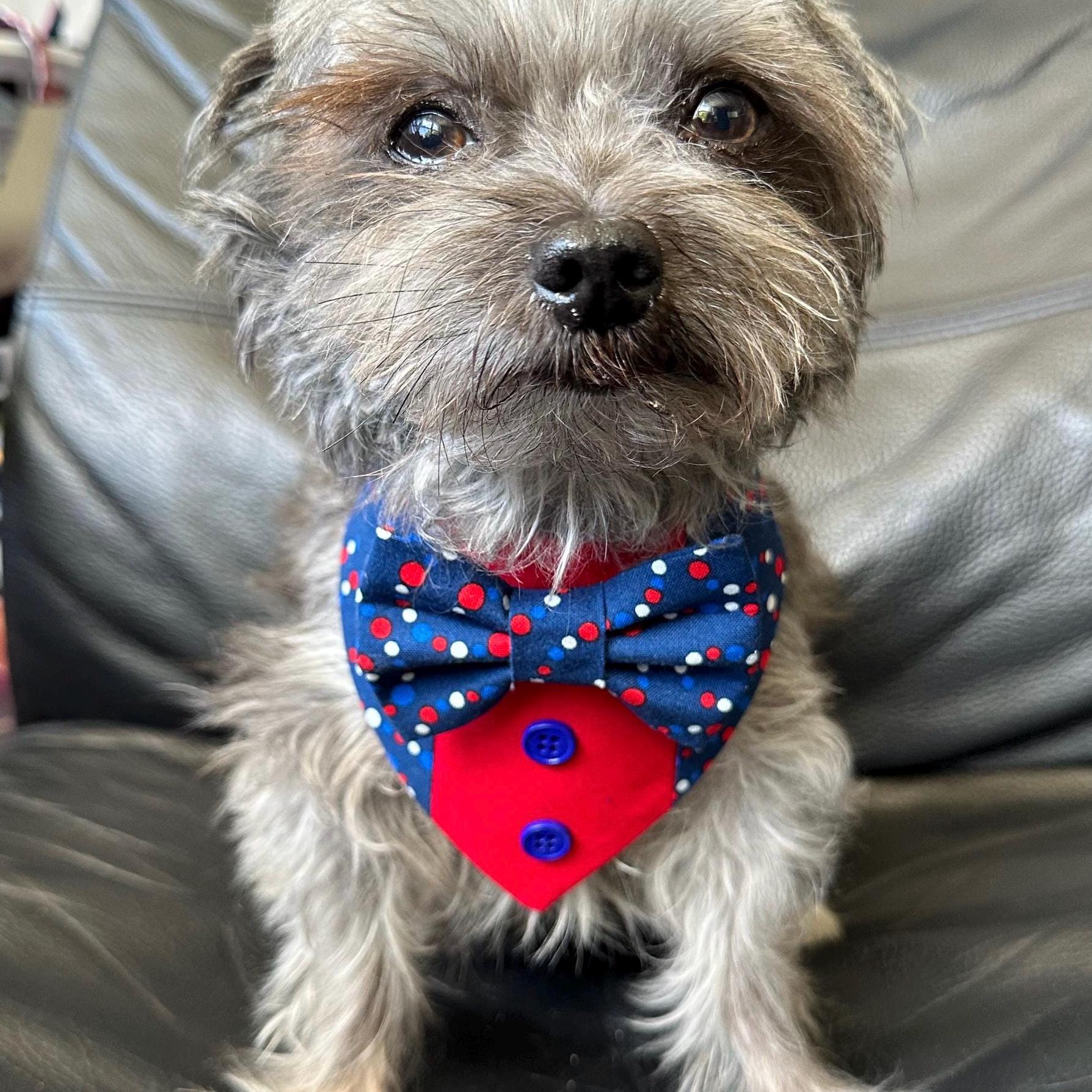 4th of July dog bandana Tuxedo dog scarf summer pet bandana snaps on bandana red blue polka usa pet accessory for memorial day dog gift cat