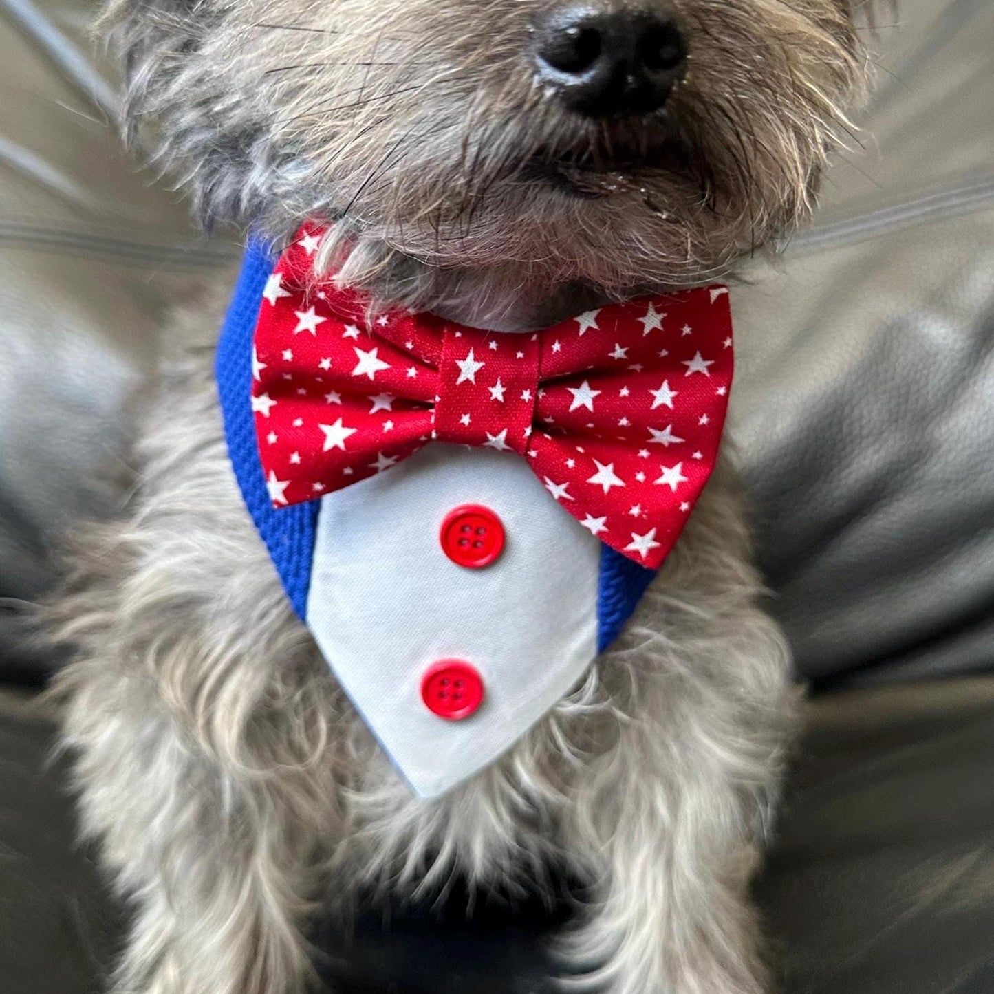 4th of July dog bandana Tuxedo dog scarf summer pet bandana snaps on bandana red white blue usa pet accessory for memorial day dog gift cat