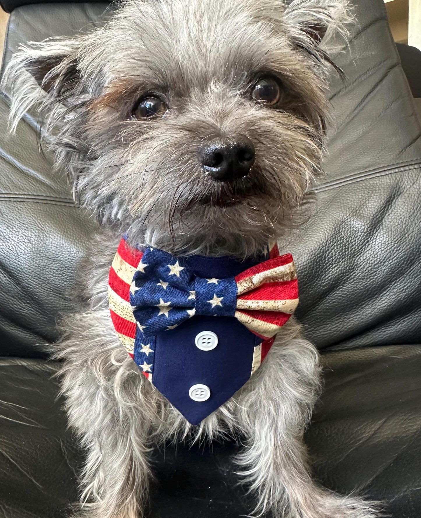 4th of July dog bandana Tuxedo dog scarf summer pet bandana snaps on bandana usa Flag pet accessory for memorial day dog gift cat