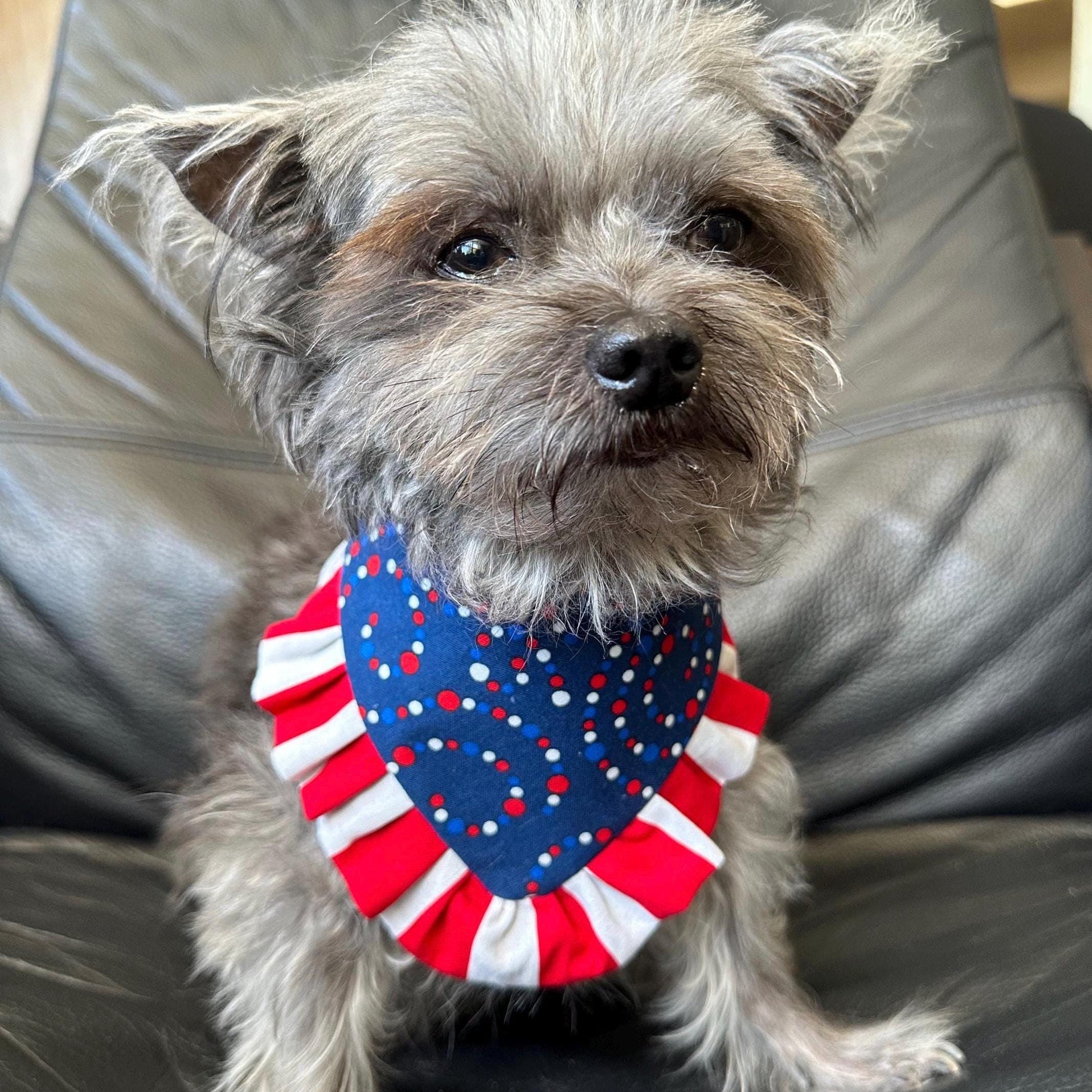 4th of July Dog Bandana ruffle red white blue bandana gift for dog summer dog bandana memorial pet accessory patriot reversible bandana