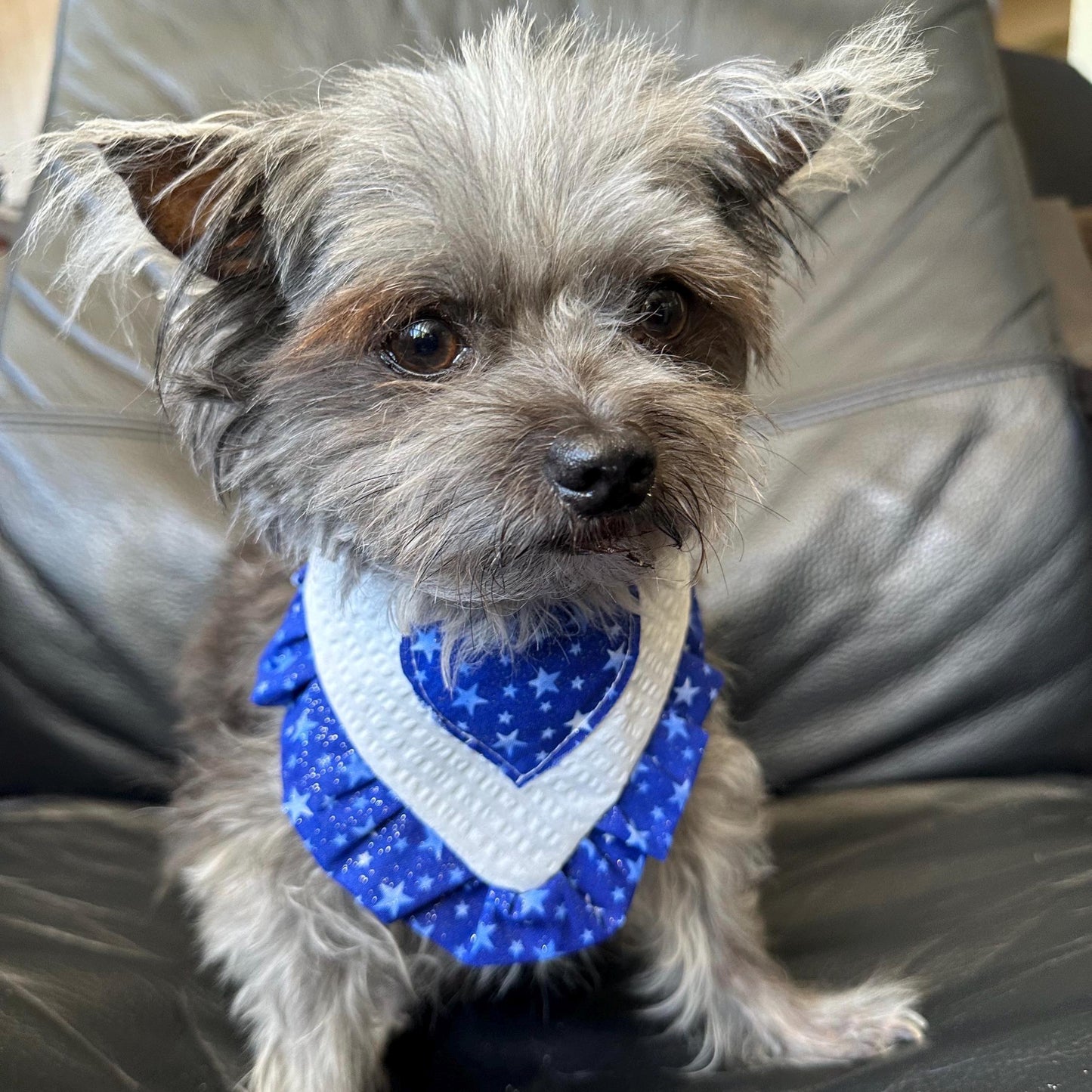 4th of July Dog Bandana ruffle white blue star bandana gift for dog cat summer dog bandana memorial pet accessory patriot reversible bandana