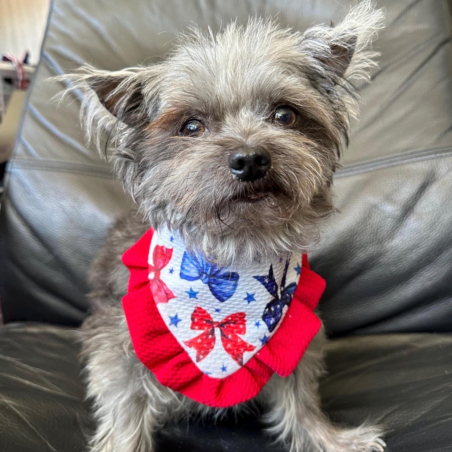 4th of July Dog Bandana ruffle red white blue bandana gift for dog cat summer dog bandana Coquette pet accessory patriot reversible bandana