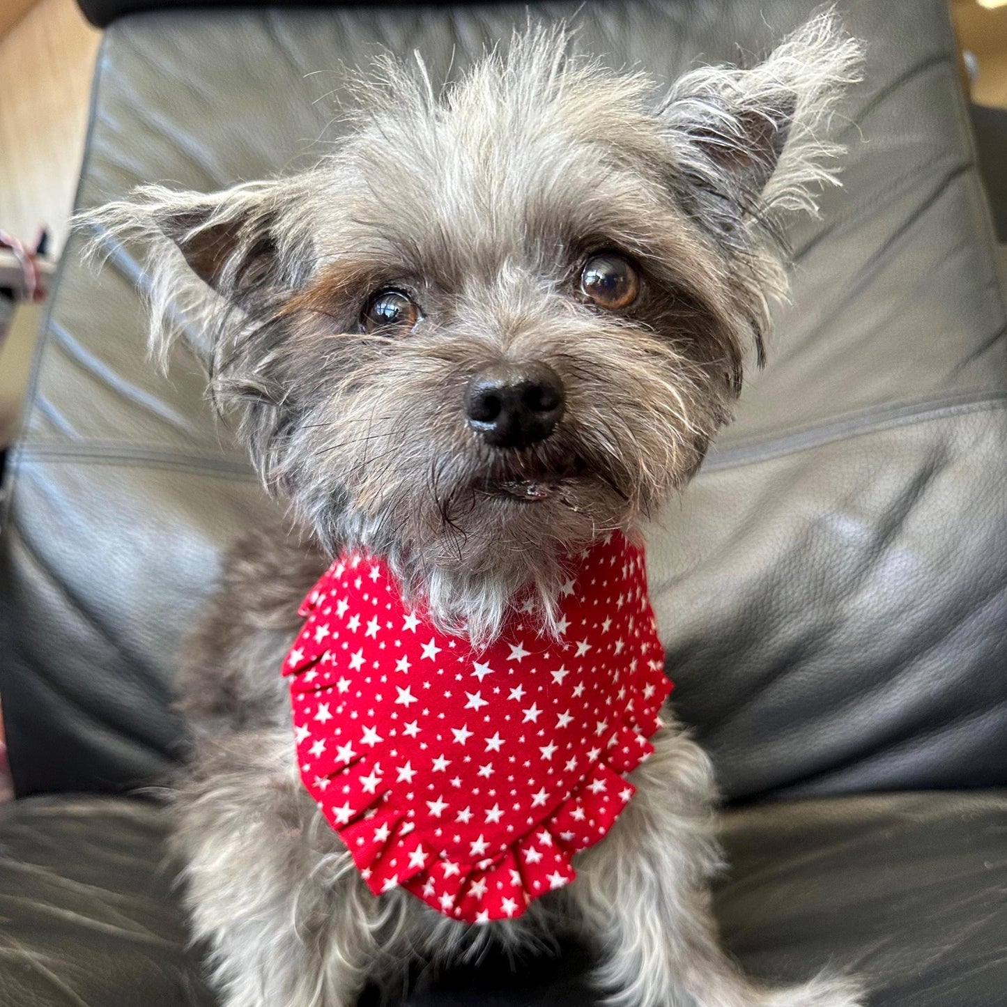 4th of July Dog Bandana ruffle red white star bandana gift for dog cat summer dog bandana memorial pet accessory patriot reversible bandana