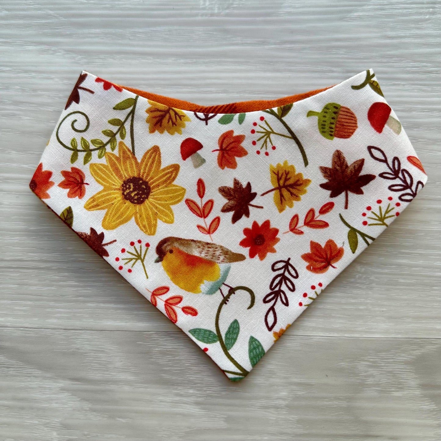 Fall Dog bandana, Big Fall leaves and green, Snap on Bandana, Matching hair-bow, Bow and Bandana, Autumn scarf for dogs, Curved neckline
