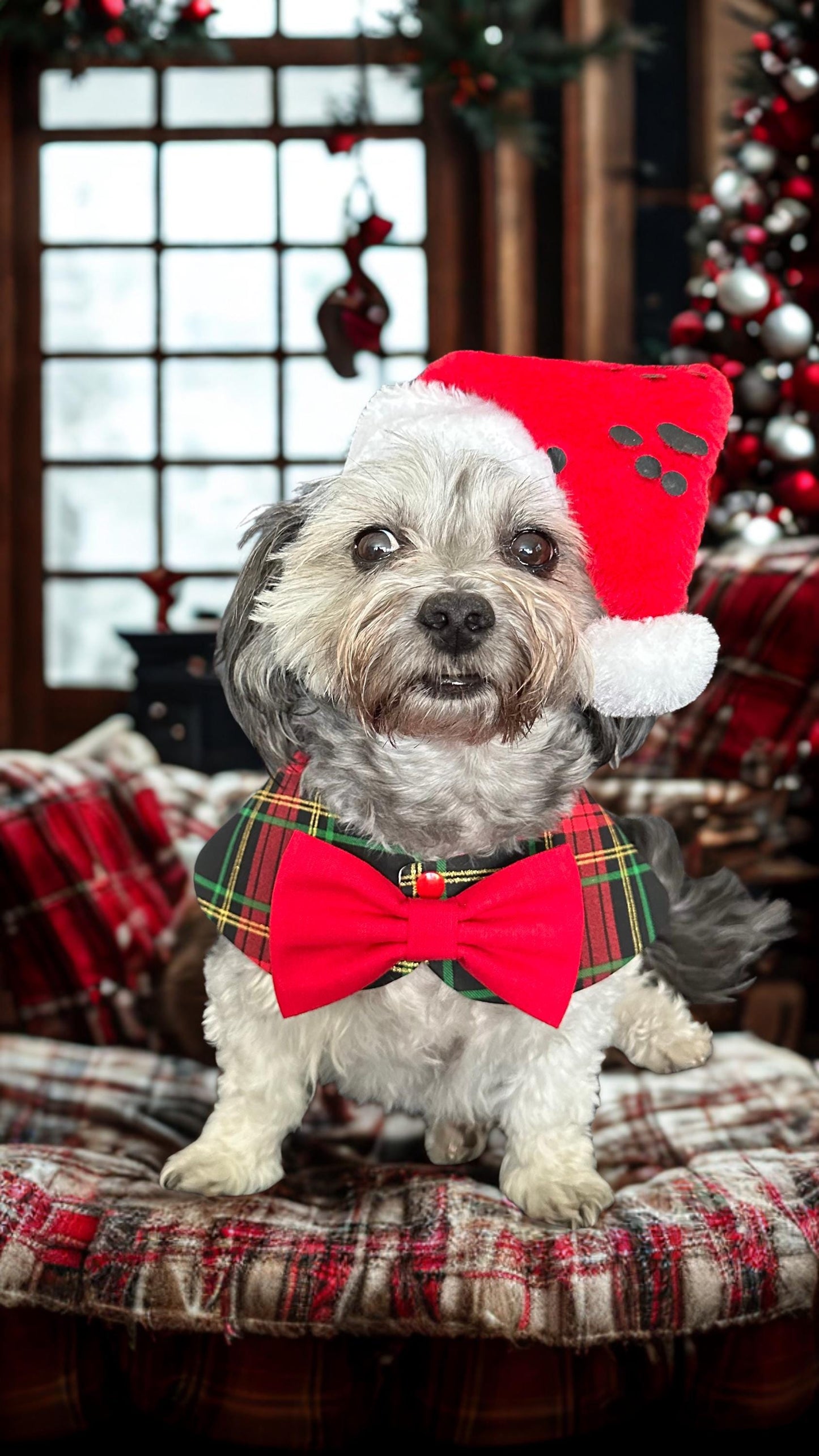 Christmas Dog Bandana Cape with Ruffle, Red white tartan