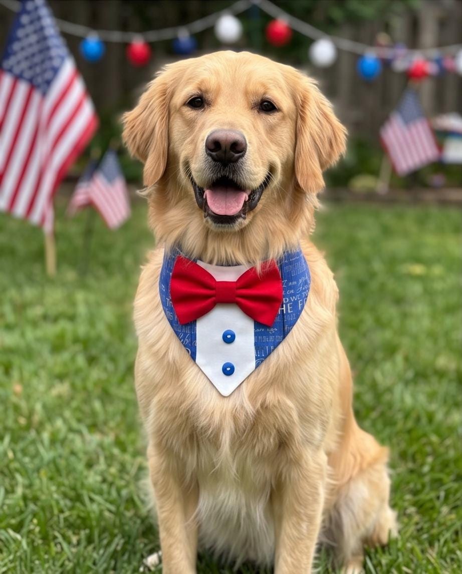 Patriotic Dog Tuxedo Bandana, 4th of July Pet Bandana, USA Red & Blue Dog Scarf, Independence Day Dog Gift, American Flag Dog Bandana