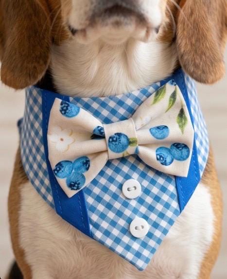 Blueberry Dog Bandana Tuxedo with Bowtie, Blue gingham Summer Formal Wear, Boys dogs cute summer outfit,