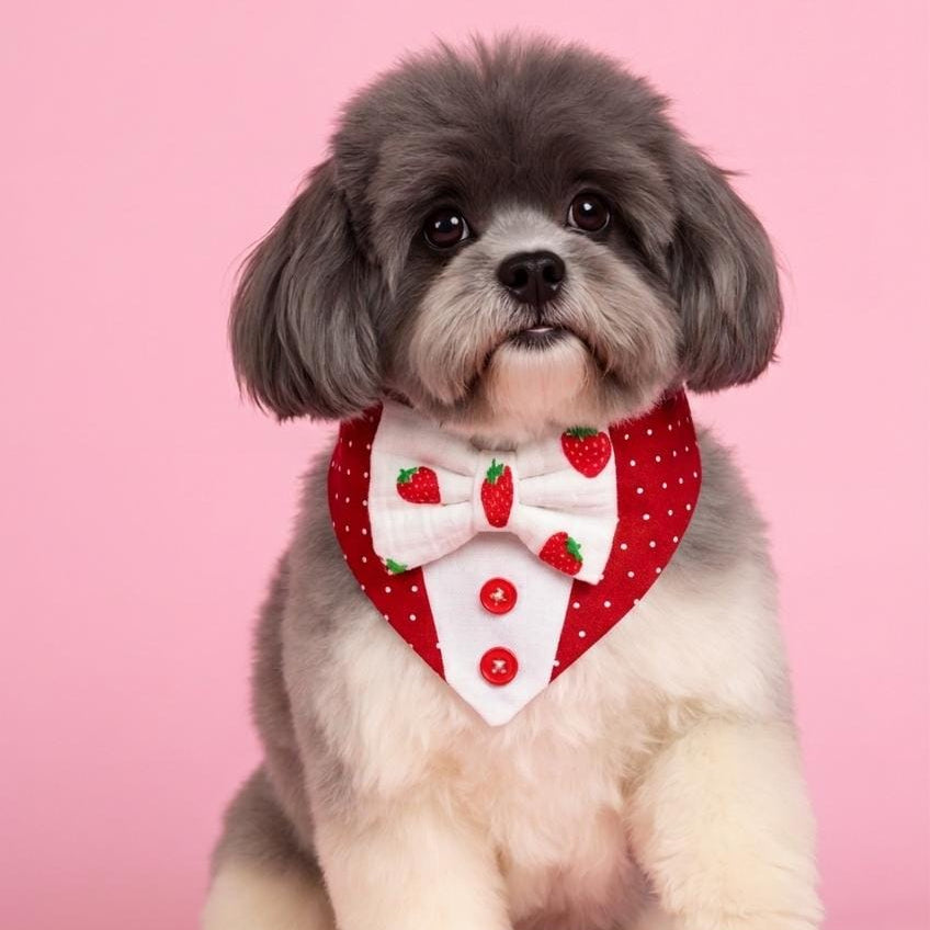 Strawberry Dog Bandana Tuxedo with Bowtie, Red white polka dot Summer Formal Wear, Boys dogs cute summer outfit,