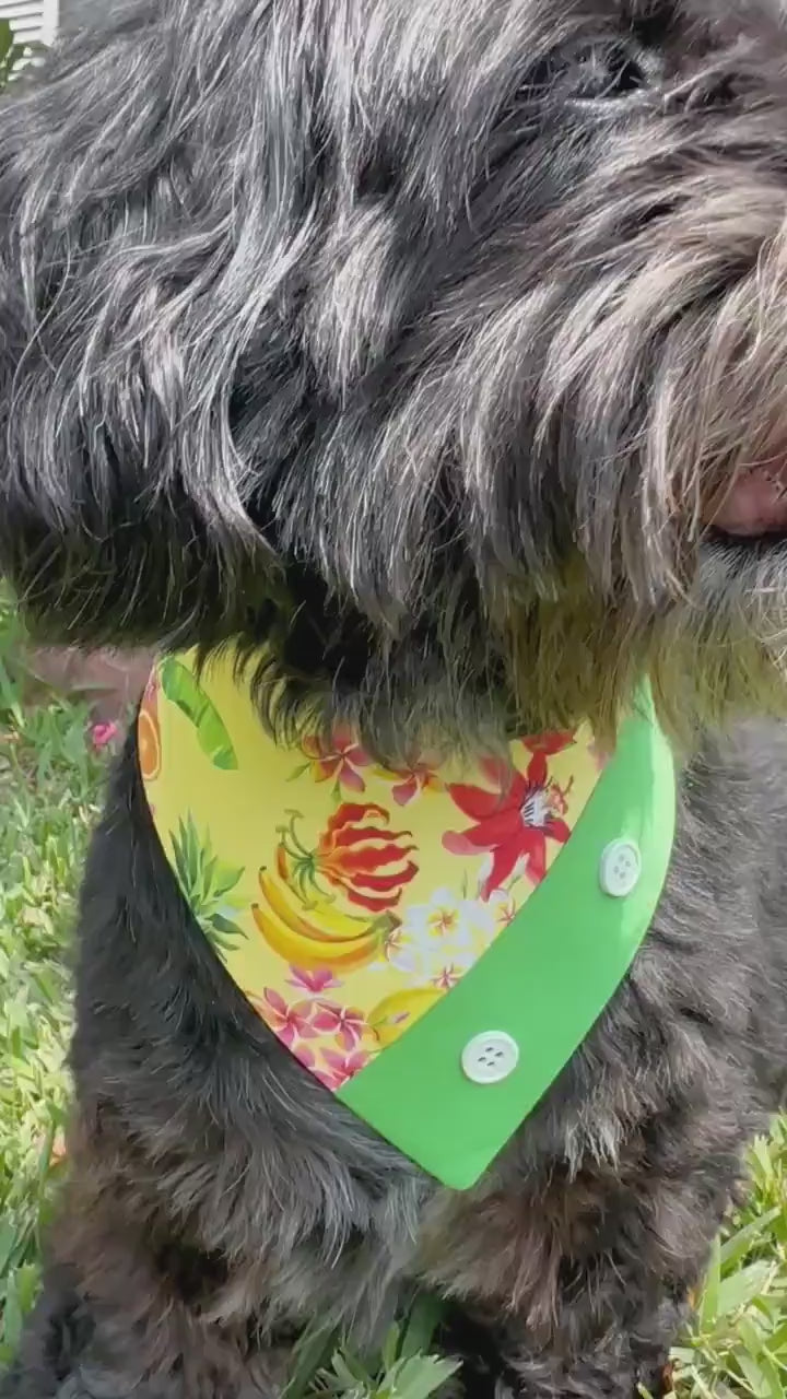Tropicana Hawaiian Dog Bandana, accessories for pets, gift for puppies, Summer pet scarf
