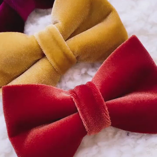 Velvet Fall Dog Bowtie, pet accessories, dog accessories, dog collar, pet bow tie, fancy bow, Autumn bow tie, season bow tie, Puppy bow tie