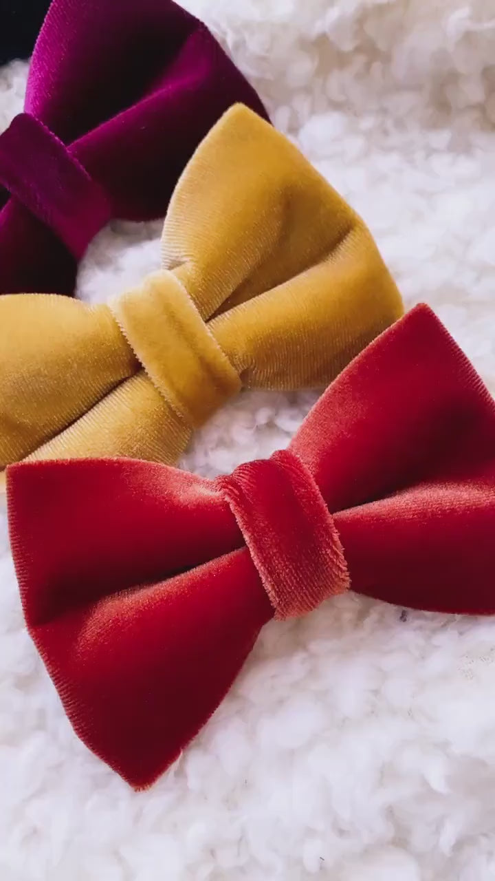 Velvet Fall Dog Bowtie, pet accessories, dog accessories, dog collar, pet bow tie, fancy bow, Autumn bow tie, season bow tie, Puppy bow tie