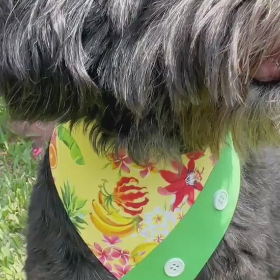 Tropicana Hawaiian Dog Bandana, accessories for pets, gift for puppies, Summer pet scarf