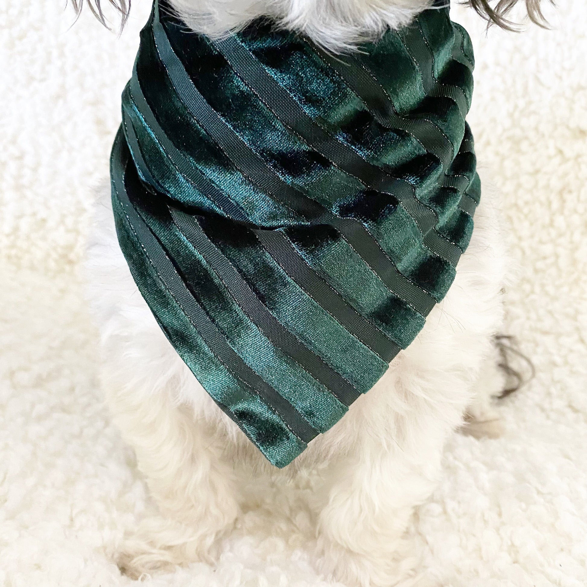 New! Hunter Green Velvet Dog bandana, Fancy bandana, Snap on Bandana, Matching hair-bow, Christmas bandana.